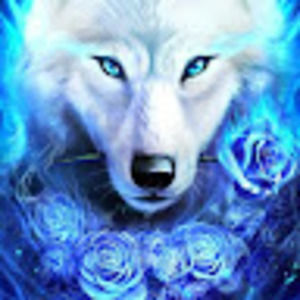 Meet your Posher, Pandas